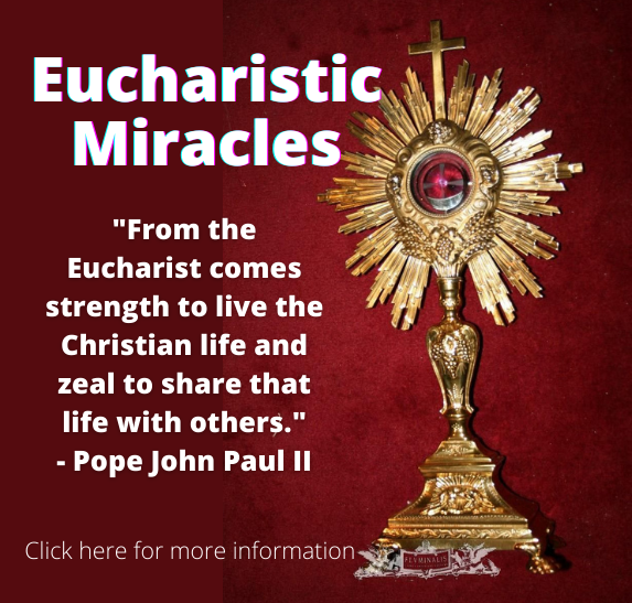 The Eucharistic Miracles - Cathedral of St. Thomas More